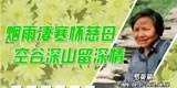罗英菊，烟雨凄寒怀慈母，空谷深山留深情。