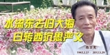 陈宗宪，水流东去归大海   日转西沉思严父。